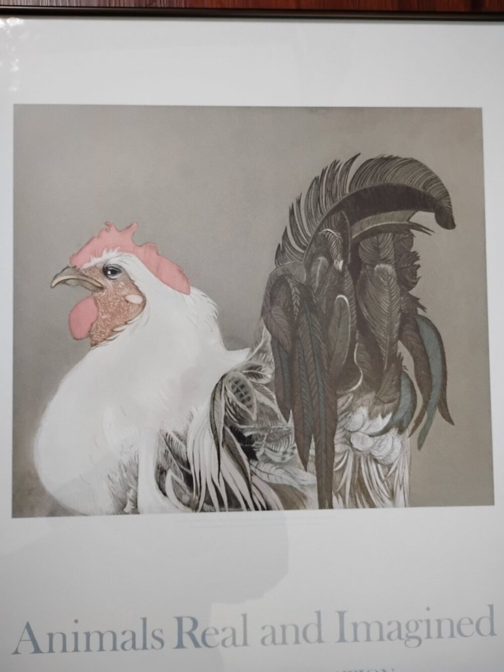 Vintage Animals Real And Imagined Beth Van Hoesen Rooster Print Litho Mounted